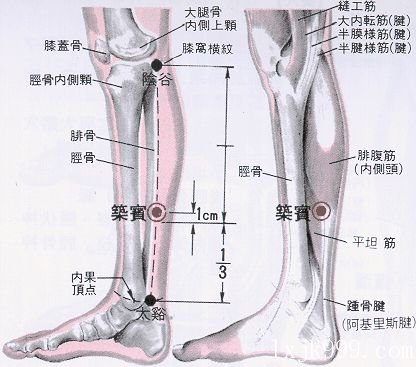 1-1503242355142U.jpg 1-1503242355142U.jpg